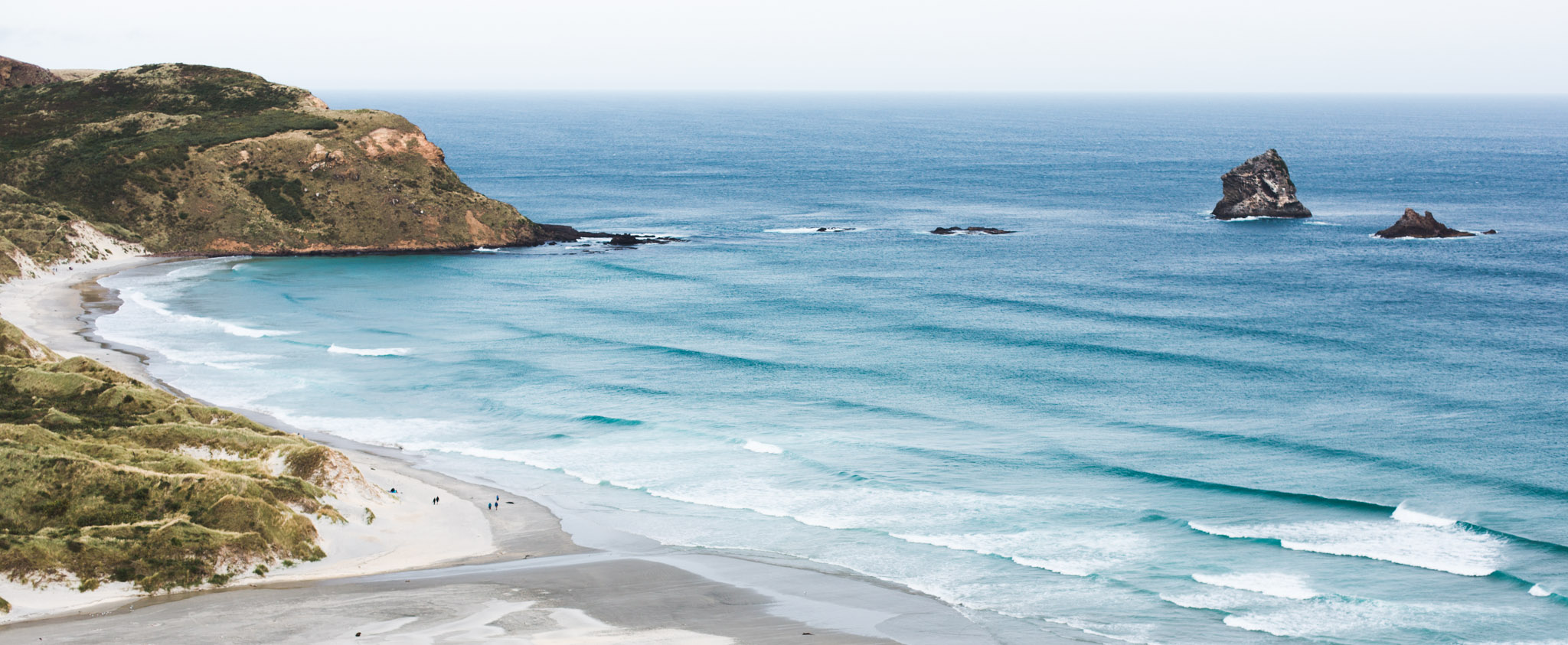 Sandfly Bay-Dunedin-Sarah Galvan Photographe 