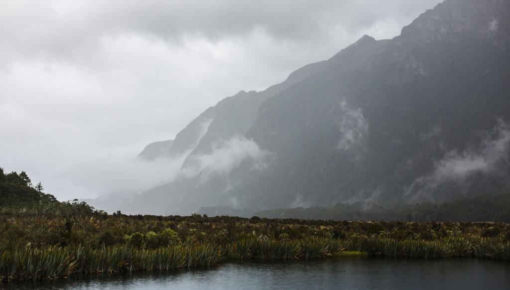 Arret-Milford Sounds-Sarah Galvan Photographe