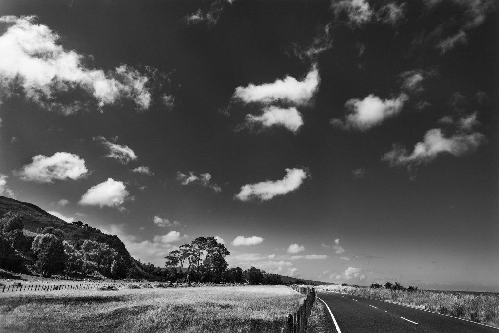 New Zealand-Collingwood-Sarah Galvan Photographe