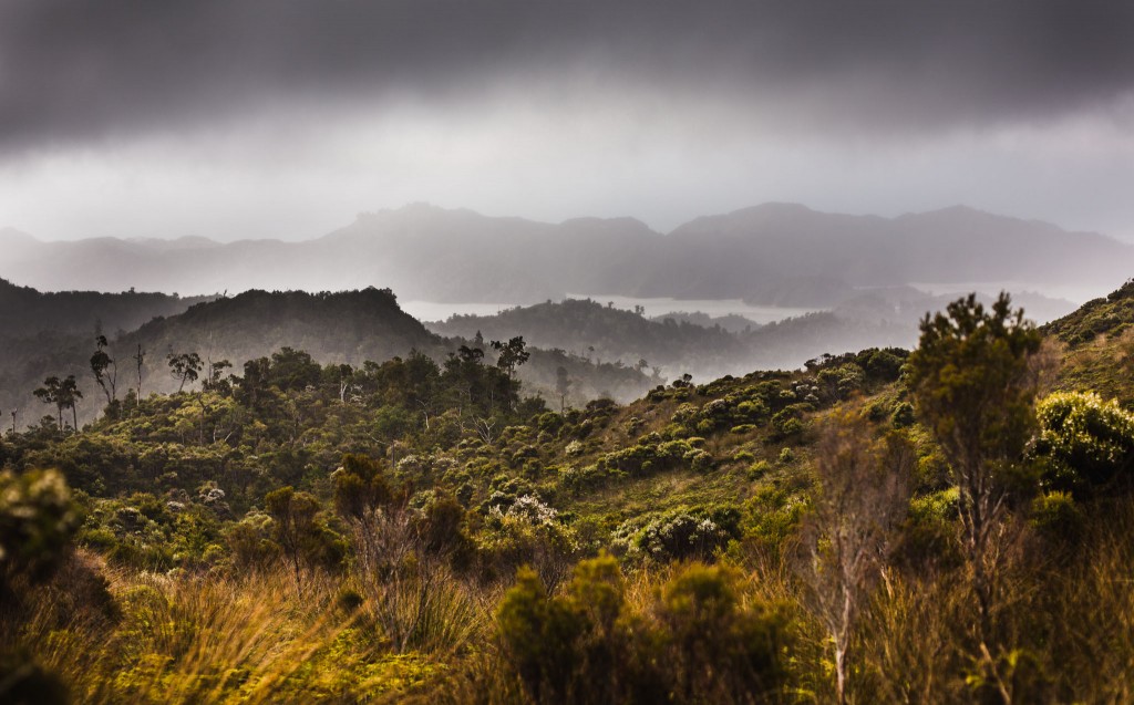 Panorama lors de la randonnée Knuckle Hill - Golden Bay-New Zealand-Collingwood-Sarah Galvan Photographe-13