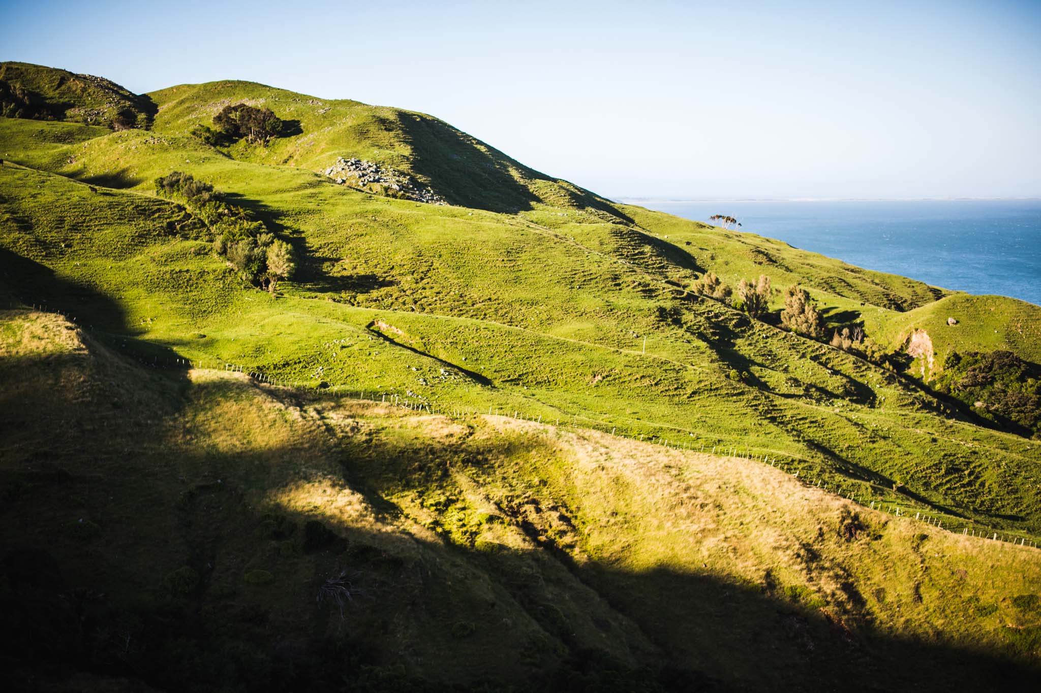 Les collines de Collingwood-New Zealand-Sarah Galvan Photographe