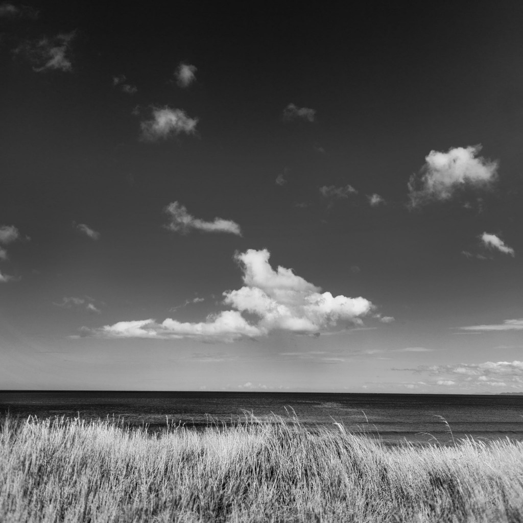 Le lâcher prise, comment ca marche-New Zealand-Collingwood-Sarah Galvan Photographe