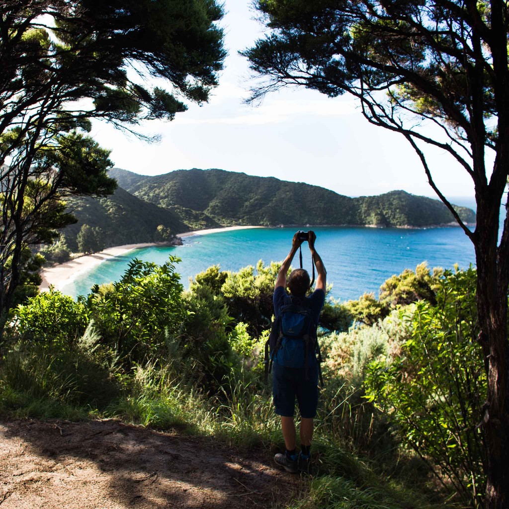 Abel Tasma Park-New Zealand-Collingwood-Sarah Galvan Photographe