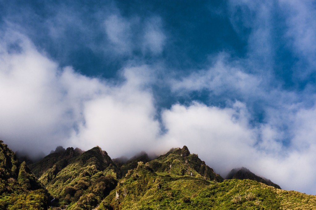 Franz Josef Glacier-New Zealand-Sarah Galvan Photographe