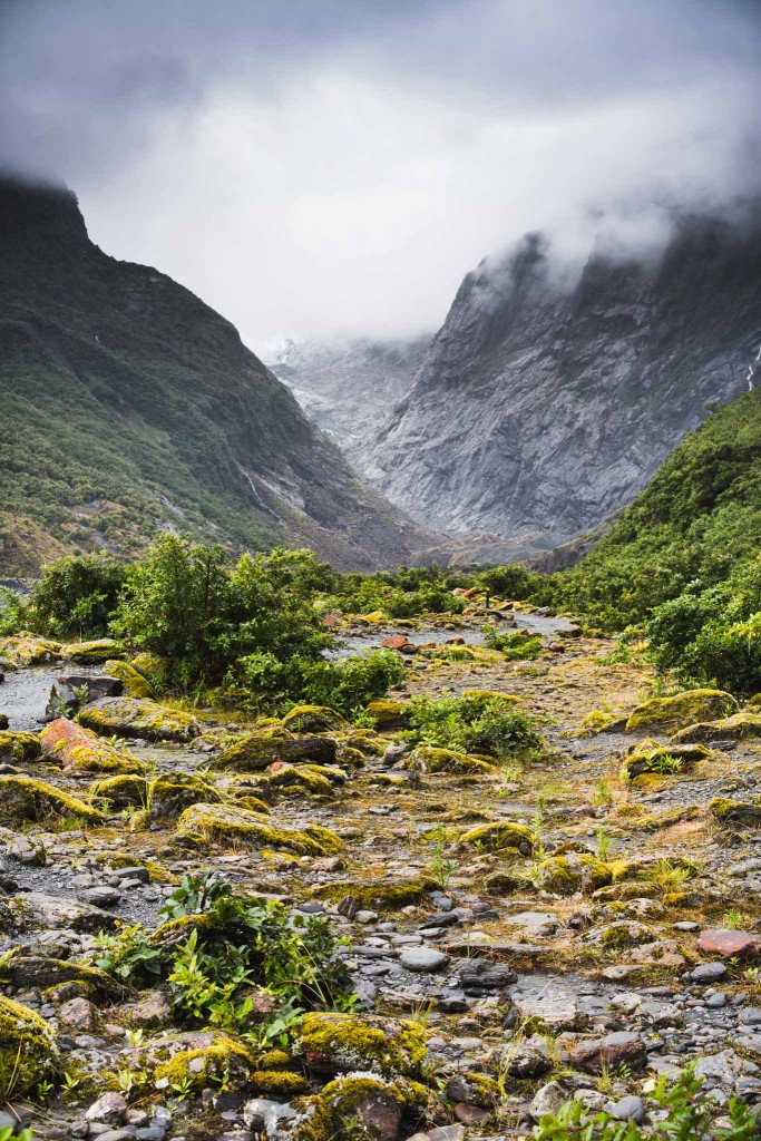 Franz Josef Glacier-New Zealand-Sarah Galvan Photographe