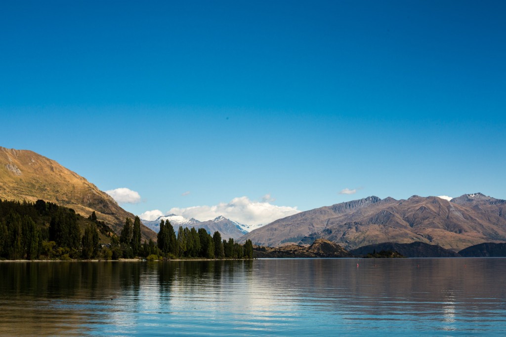 Wanaka Lake day-New Zealand-wanaka-Sarah Galvan Photographe