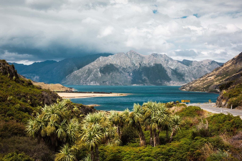 New Zealand-wanaka-Sarah Galvan Photographe-2