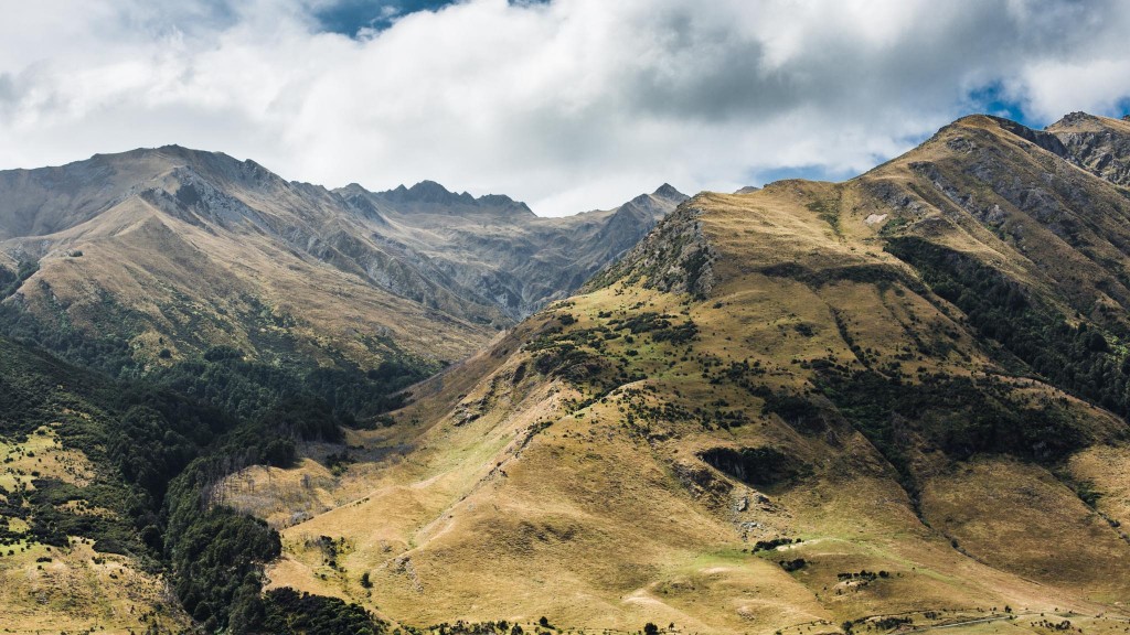 New Zealand-Tamara-wanaka-Sarah Galvan Photographe-3