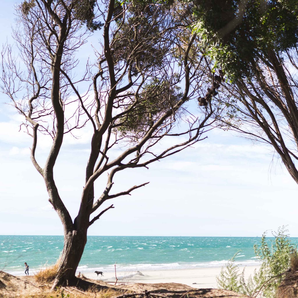 Nature a Neslon-New Zealand-Sarah Galvan Photographe