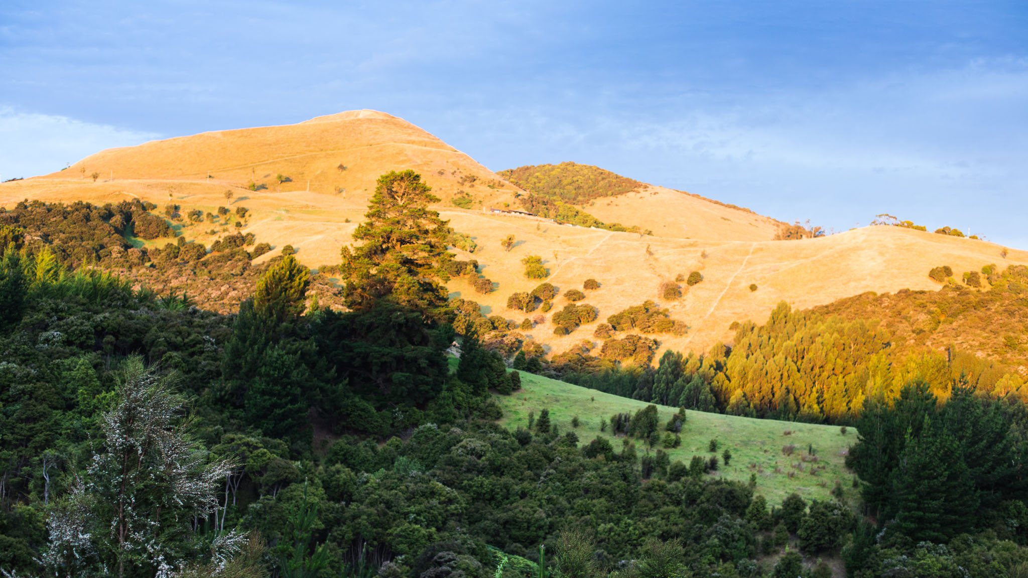 Saddle Hill-Sarah Galvan Photographe-4