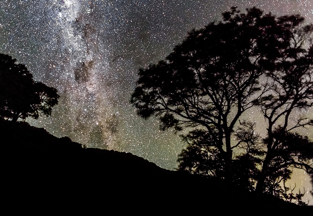 MILKY WAY IN NZ_Sarah Galvan Photographe