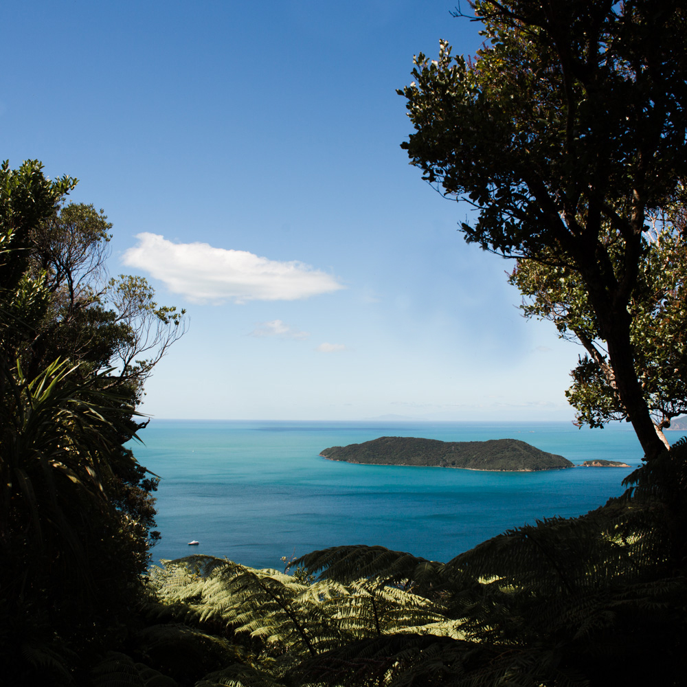 SHIP COVE MARLBOROUGH SOUNDS1_Sarah Galvan Photographe-2