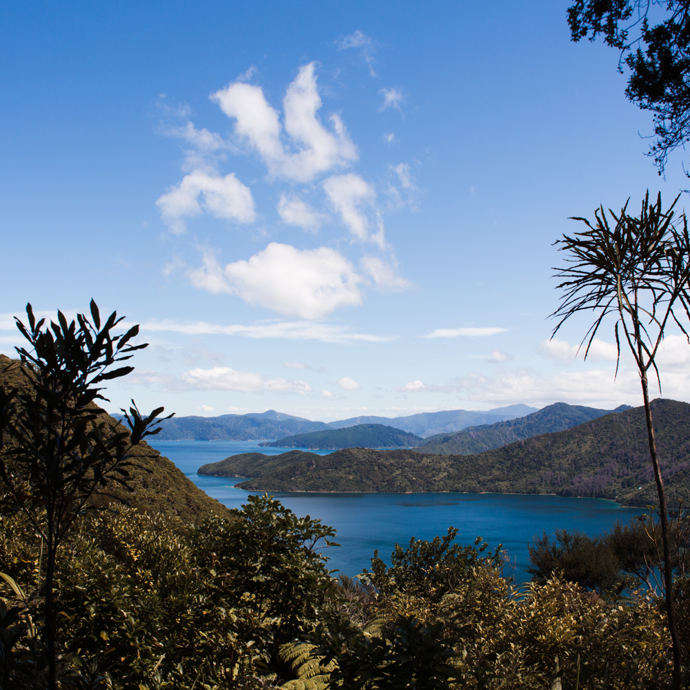 SHIP COVE MARLBOROUGH SOUNDS2_Sarah Galvan Photographe