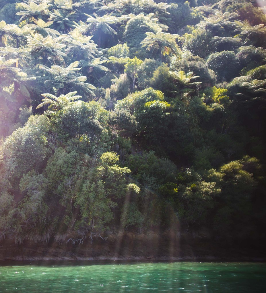 Marlborough Sounds- Belle lumière-New Zealand-Sarah Galvan Photographe