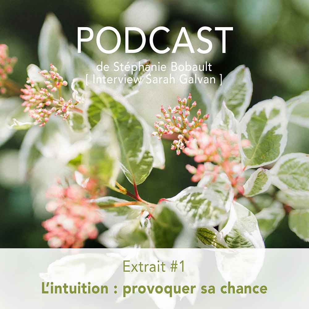 Podcast Intuition