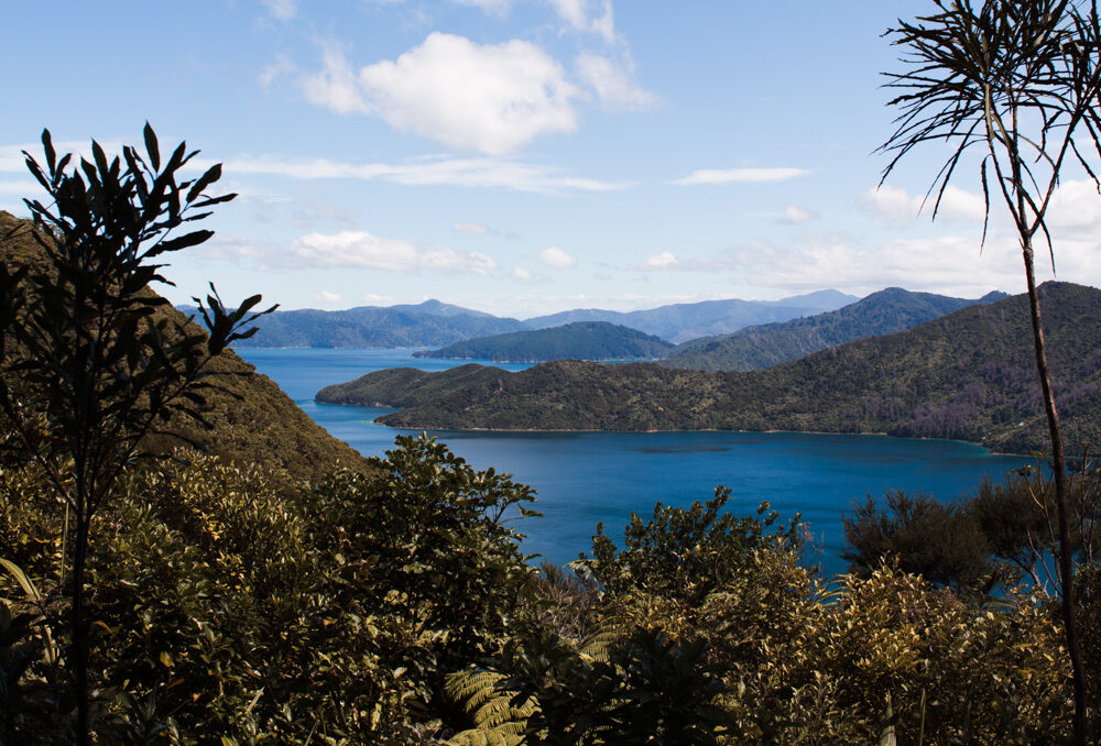 SHIP COVE MARLBOROUGH SOUNDS2 Sarah Galvan Photographe e1765980836689 | Coach en Développement Personnel | Sarah GALVAN | Annecy, Haute-Savoie