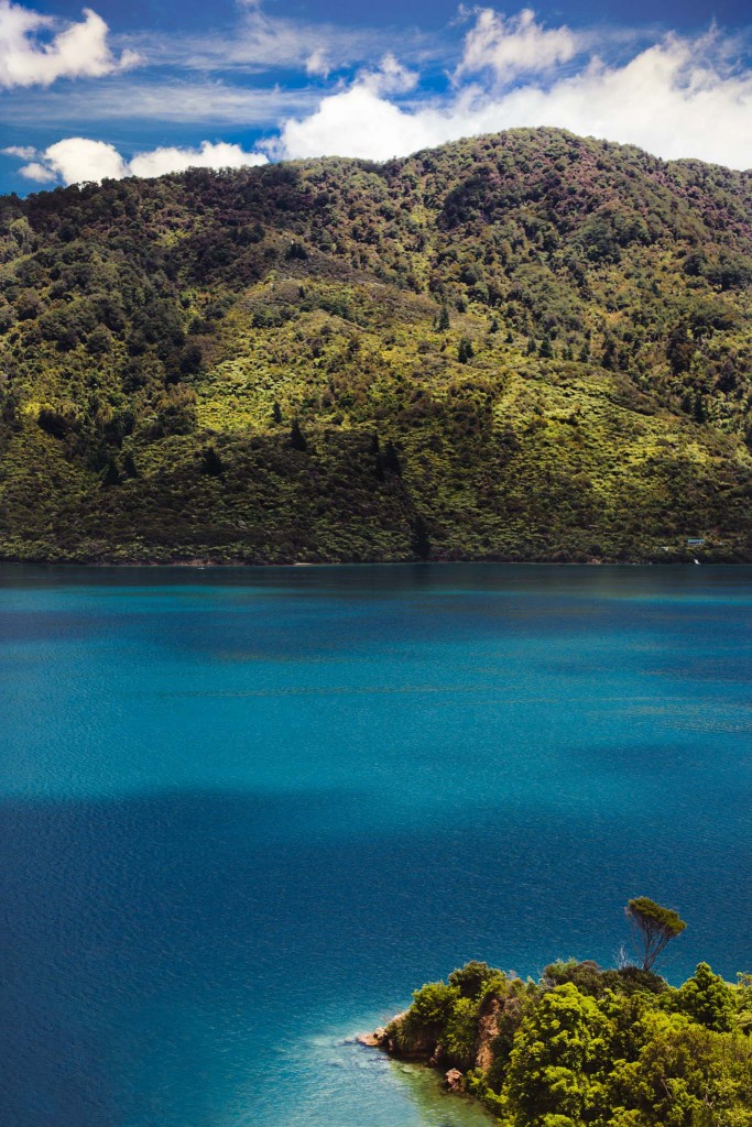 New Zealand malborough sounds Sarah Galvan Photographe 13 683x1024 1