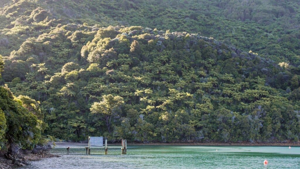 imgi 13 New Zealand Sarah Galvan Photographe 2 4