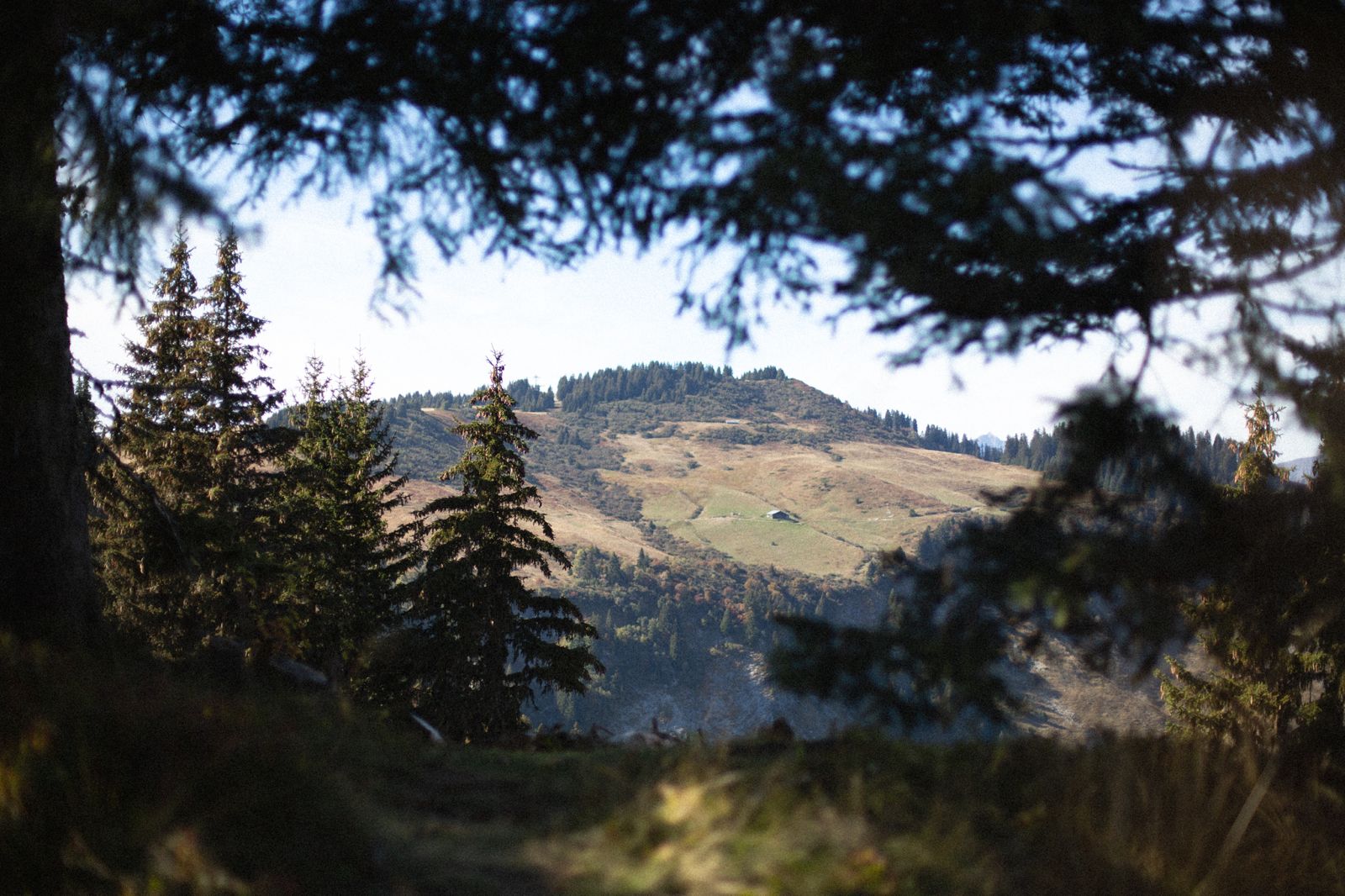 PHOTO 2025 10 10 18 16 36