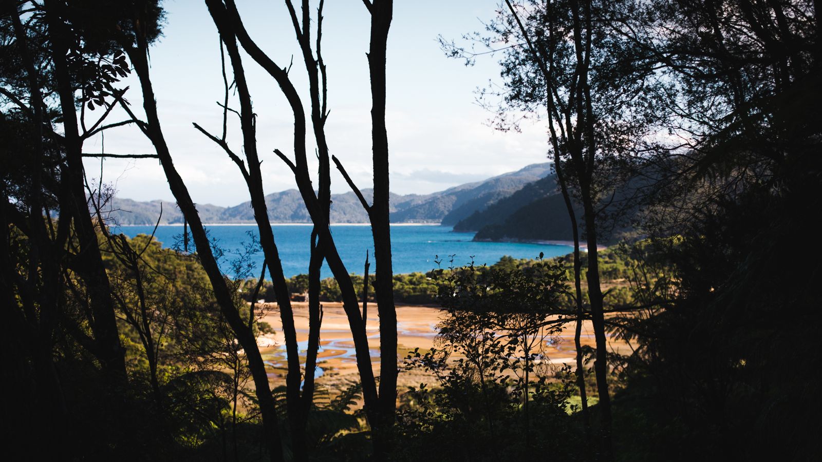 PHOTO 2025 10 10 18 16 39