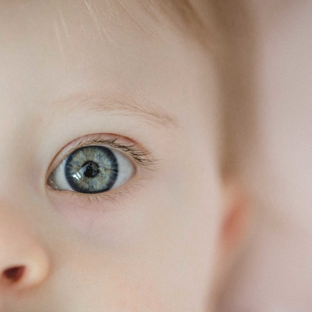 Projet “Chromosome d’Amour En Plus” 3 imgi 7 Regard Mila Sarah Galvan Photographe 1024x1024 1 | Coach en Développement Personnel | Sarah GALVAN | Annecy, Haute-Savoie