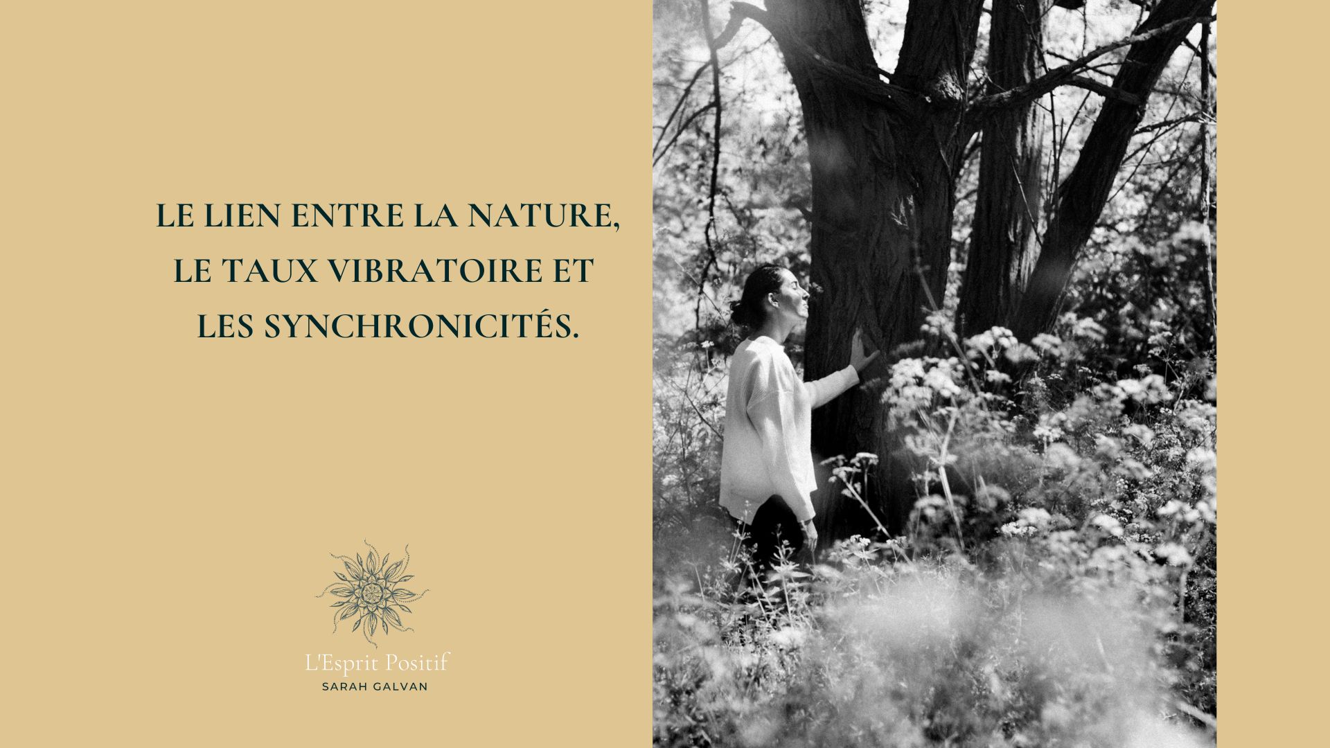 Comment augmenter son taux vibratoire et favoriser les synchronicités élever son énergie vitale sa motivation connexion à la nature