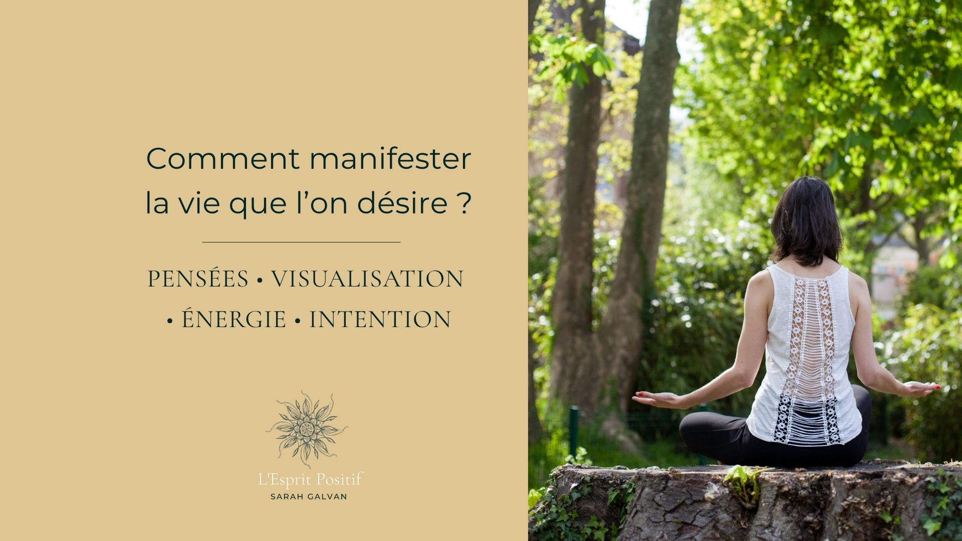 Comment manifester la vie que l'on désire loi d'attraction demande à l'univers le pouvoir des pensées pour réaliser ses rêves augmenter son énergie sa vibration sa fréquence être pleinement serein et confiant